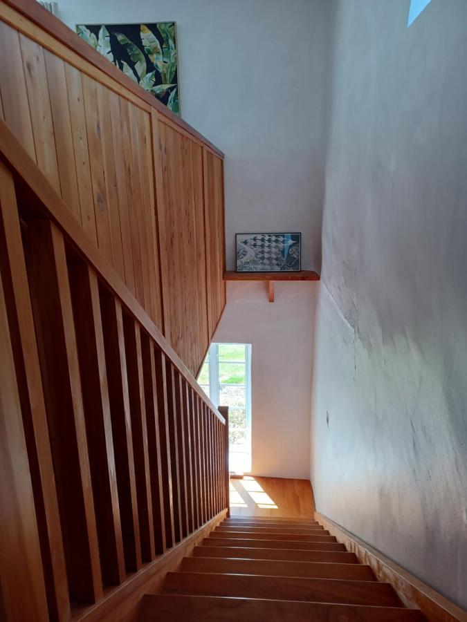 Pirita Vineyard Cottage. Upper Moutere Екстериор снимка