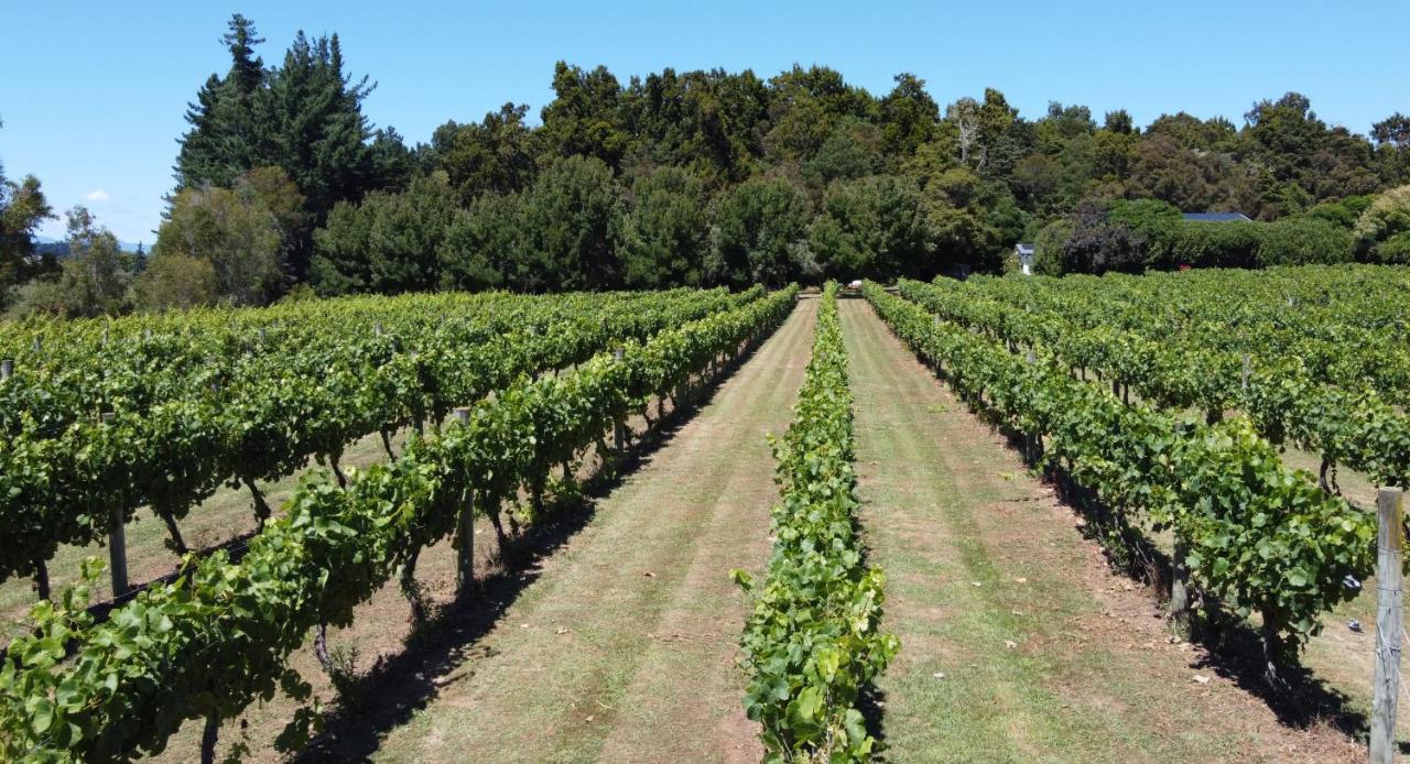 Pirita Vineyard Cottage. Upper Moutere Екстериор снимка